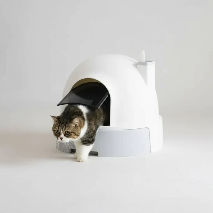 Litière Fermée Design Et Confort Pour Chat