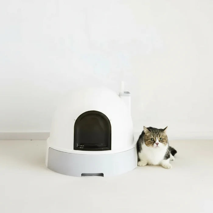 Litière Fermée Design Et Confort Pour Chat