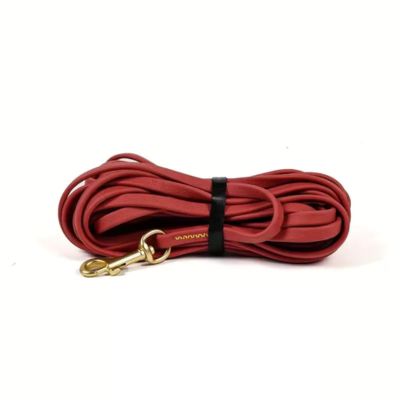 Longe pour chien PVC 6m