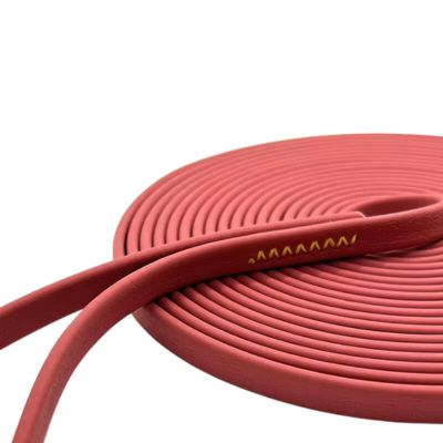 Longe pour chien PVC 9m