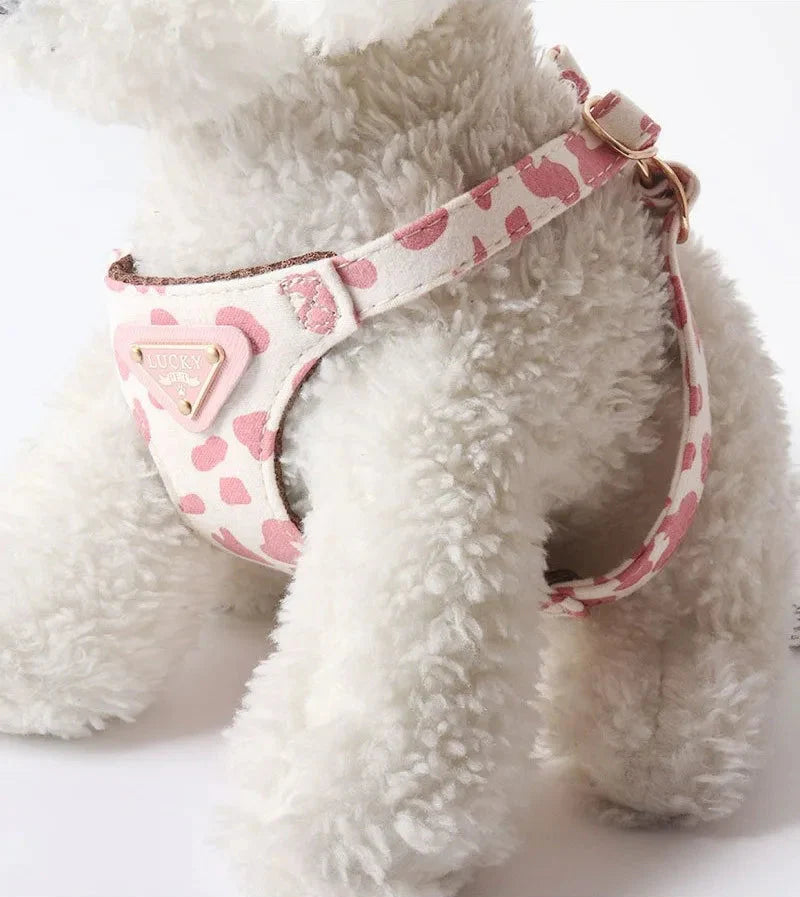Harnais Double Crochet Pour Chien Avec Laisse Petits Et Moyens