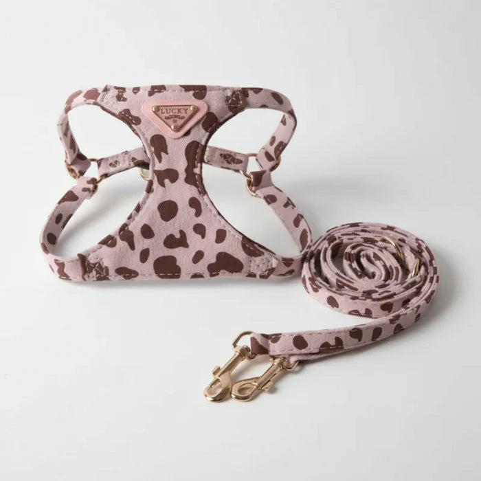 Harnais Avec Ou Sans Laisse Double Crochet Pour Chien