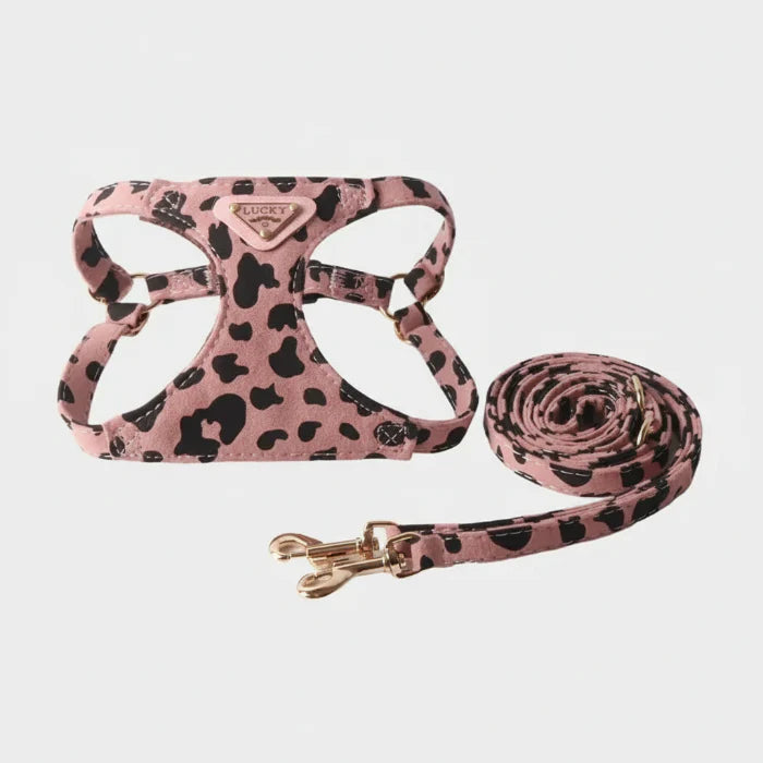 Harnais double crochet pour chien en motif léopard avec laisse assortie de la marque Oscar et Plume