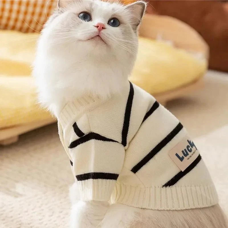 Pull pour chien rayé - Confortable, stylé et chaud