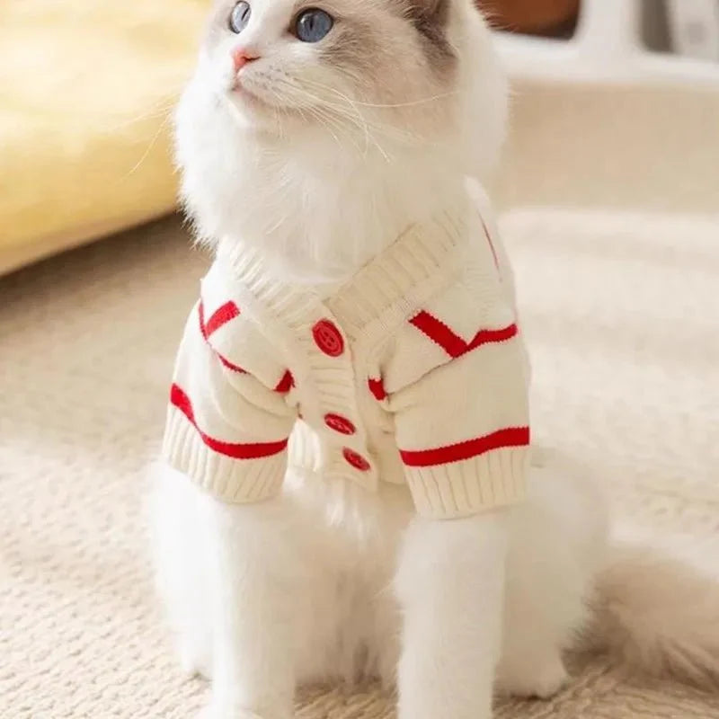 Pull pour chien rayé - Confortable, stylé et chaud