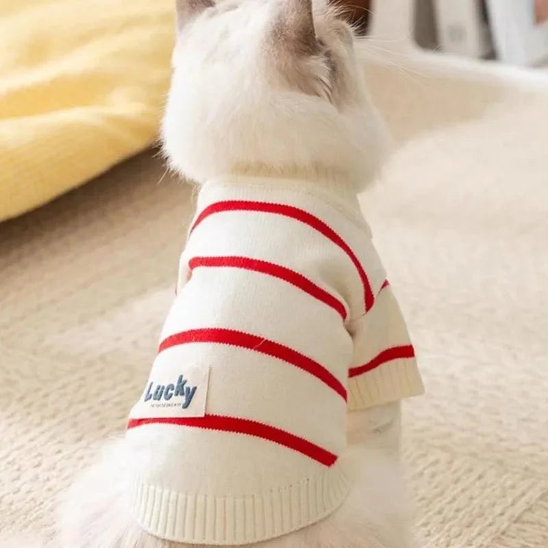 Pull Rayé Pour Petits Chiens Confortable Et Chaud Hivernal