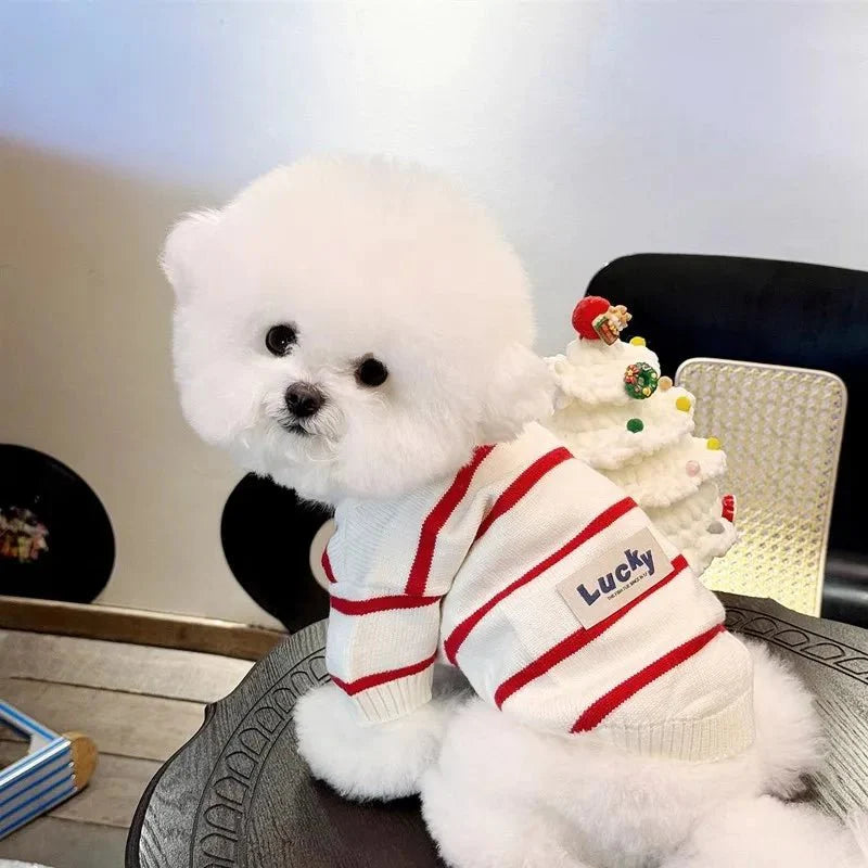 Pull Rayé Pour Petits Chiens Confortable Et Chaud Hivernal