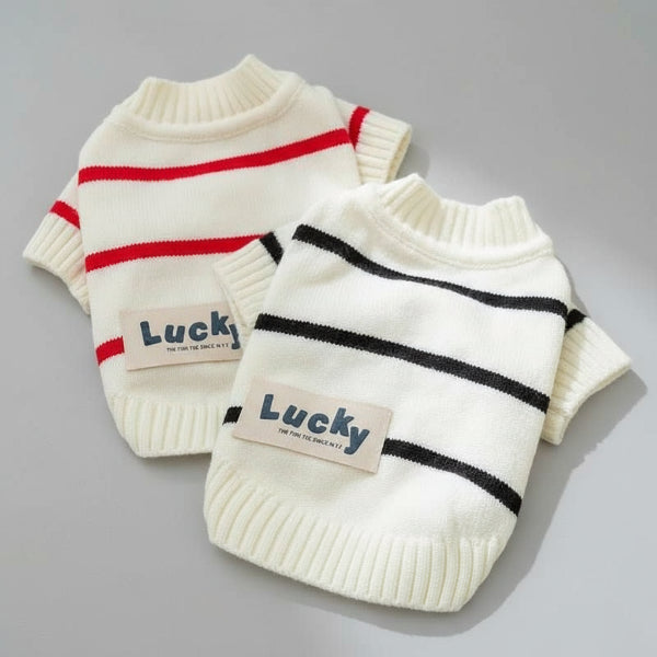 Pull pour chien rayé - Confortable, stylé et chaud