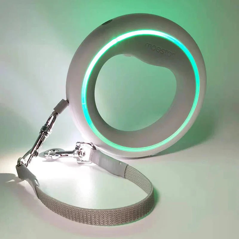 Laisse Rétractable avec Harnais et Lumière LED pour Chat ou Chien