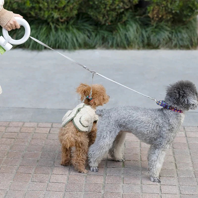 Laisse Rétractable avec Harnais et Lumière LED pour Chat ou Chien