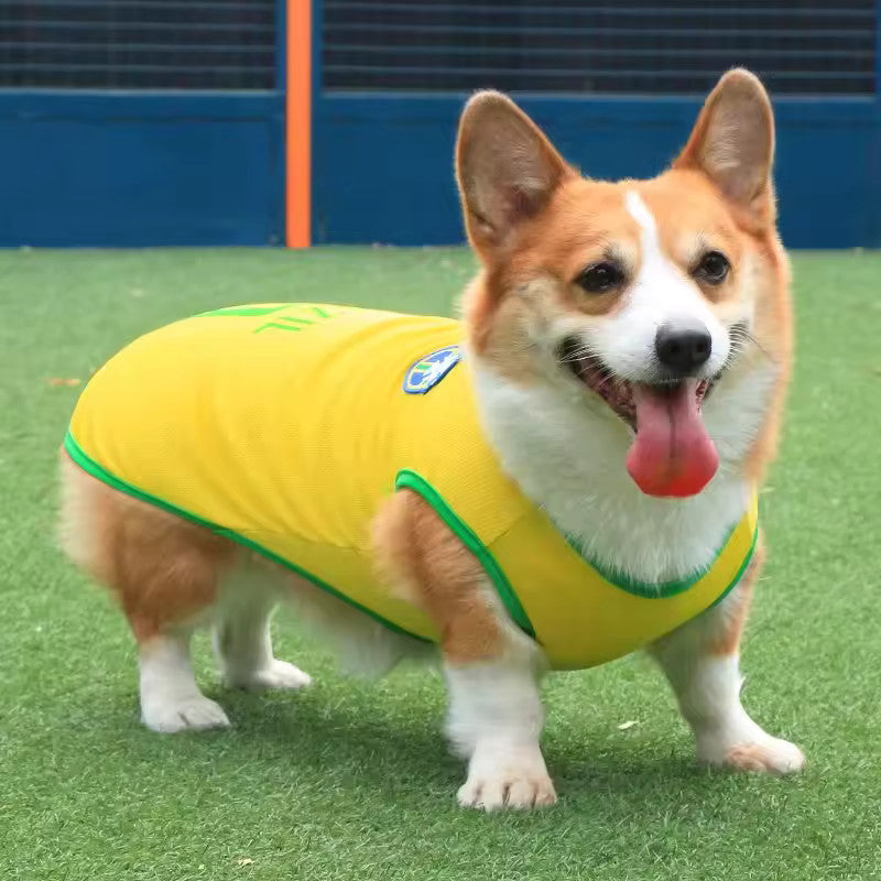 Maillot Foot Chien
