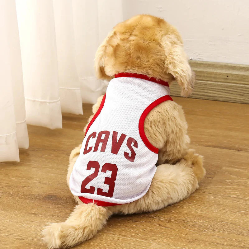 Maillot de Basket pour Chien