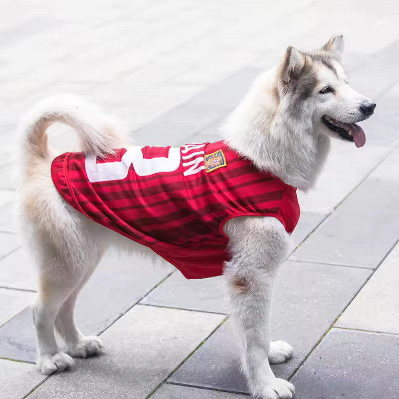 Maillot Foot Chien