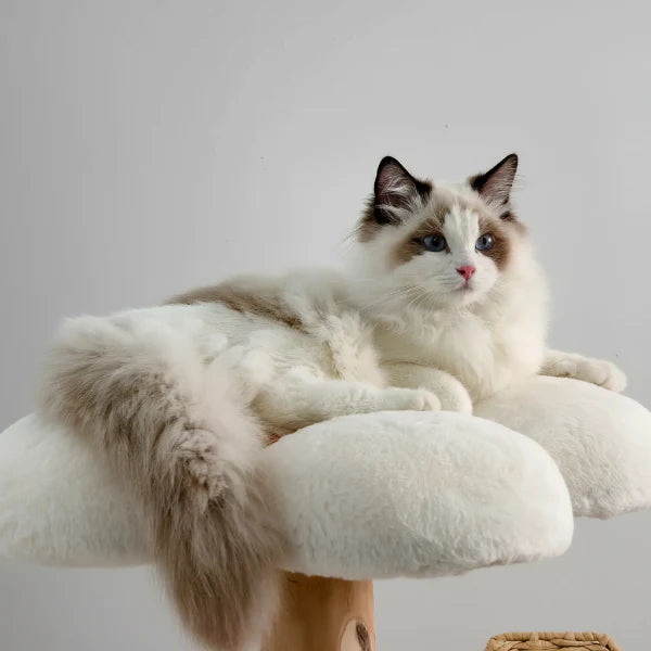Arbre à chat griffoir en bois massif avec sisal - Oscar et Plume
