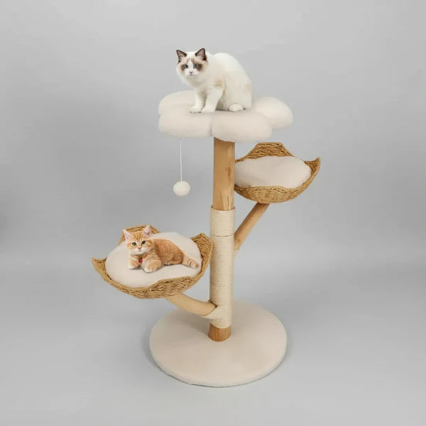 Arbre à chat griffoir en bois massif avec sisal - Oscar et Plume
