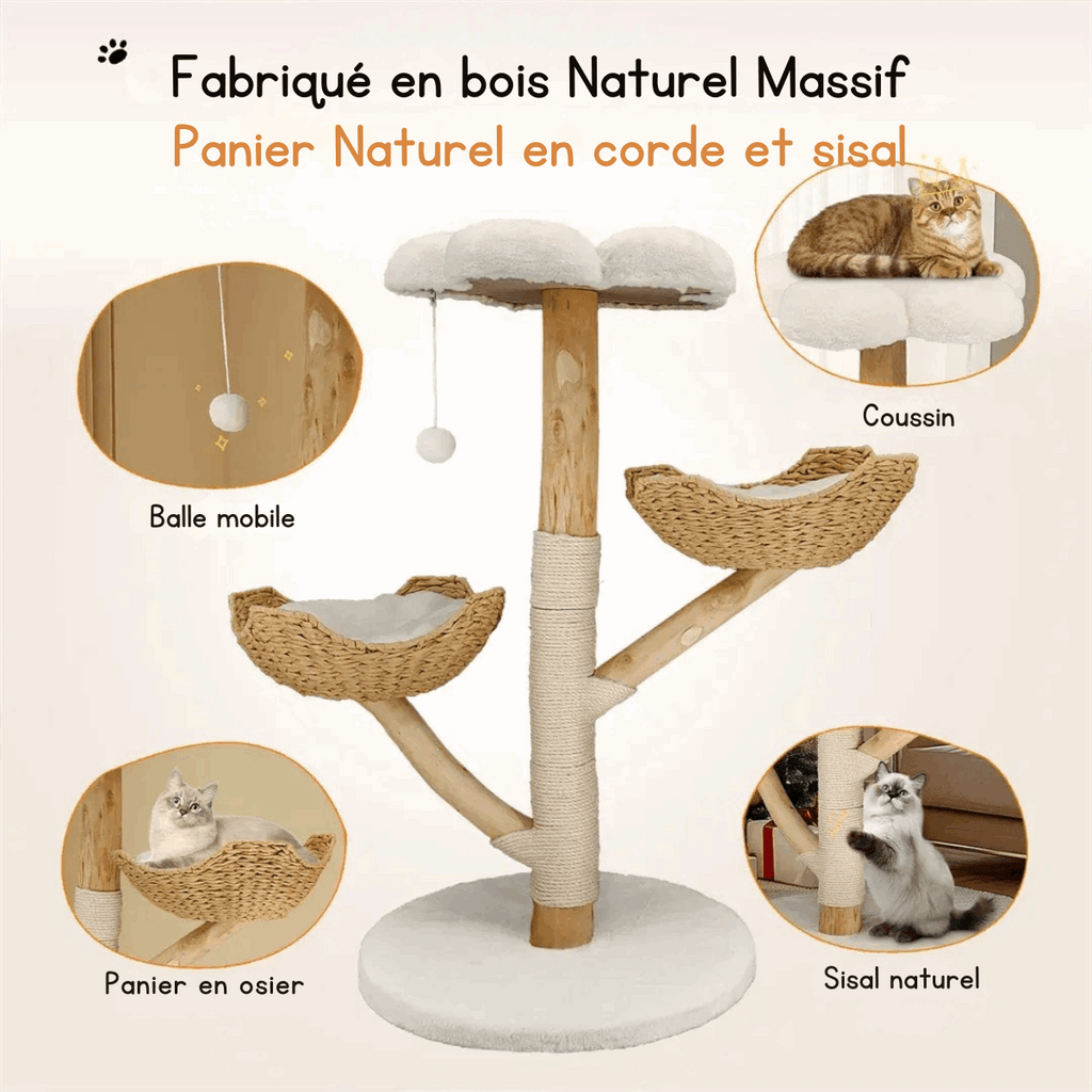Arbre à chat griffoir en bois massif avec sisal - Oscar et Plume