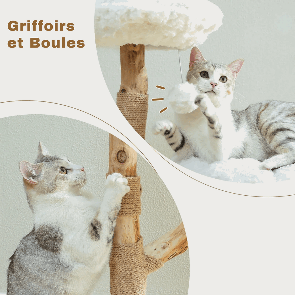 Arbre À Chat En Bois Avec Fleurs Et Perchoirs