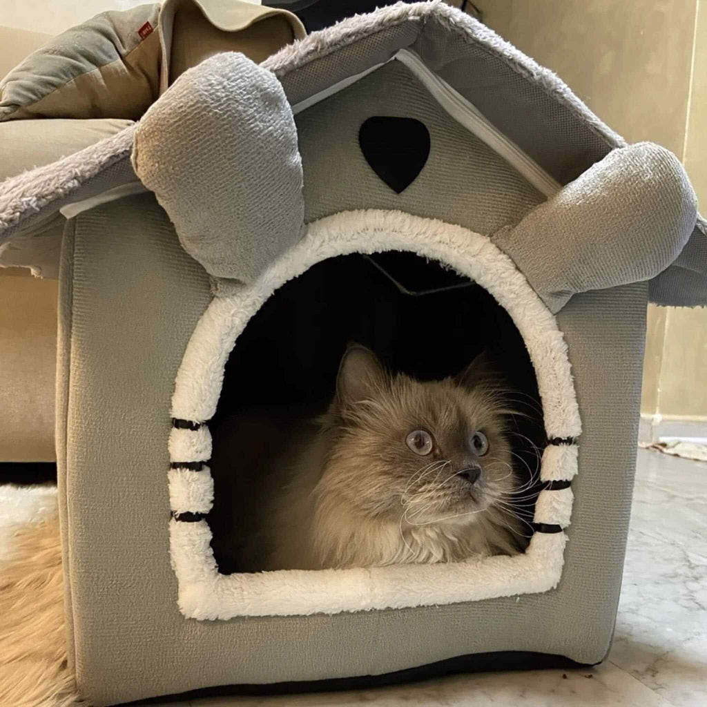 maison chat | La Tanière Confort
