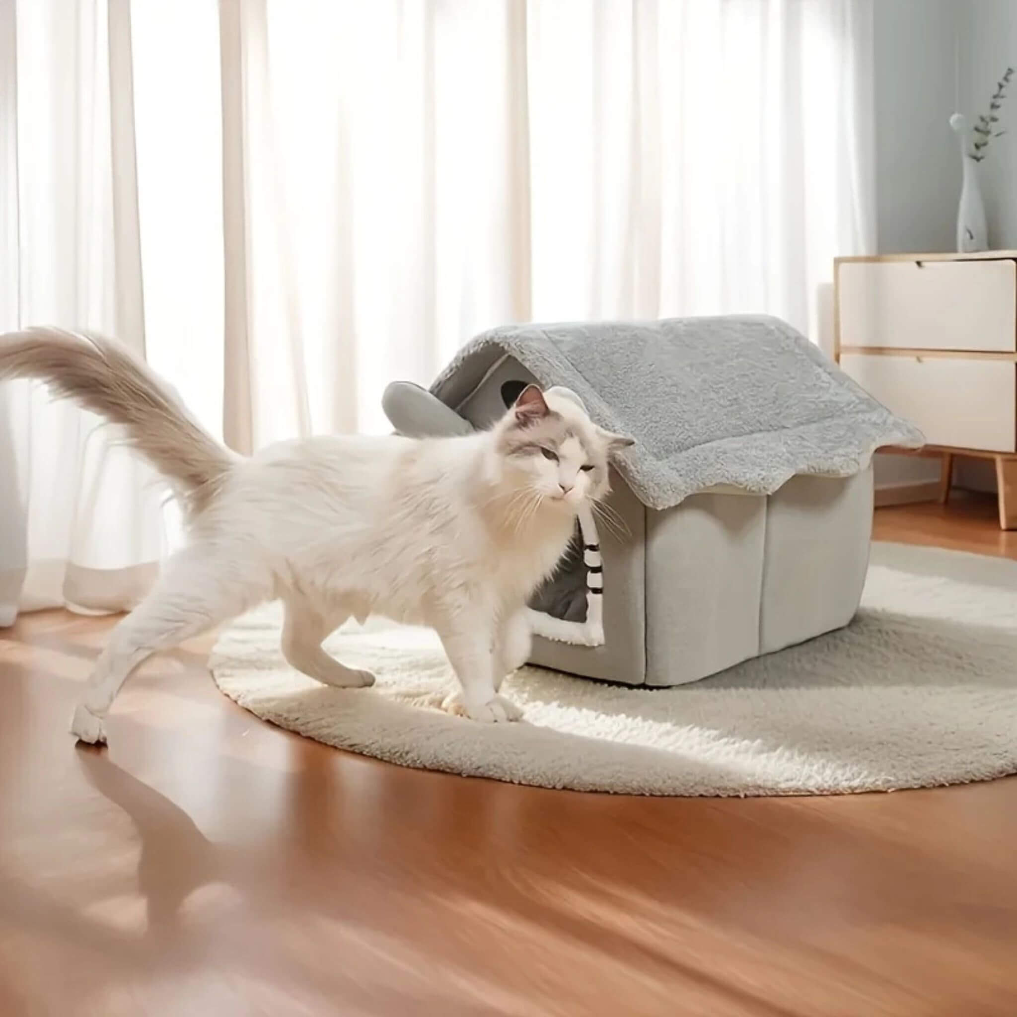 maison chat | La Tanière Confort
