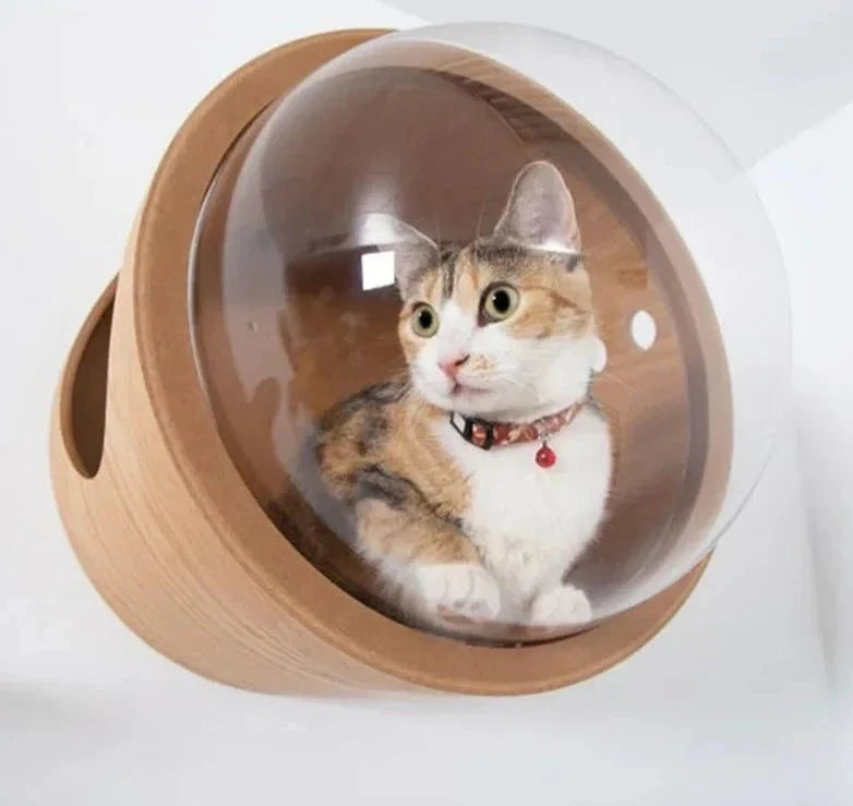 Maison Capsule Murale Design Pour Chat