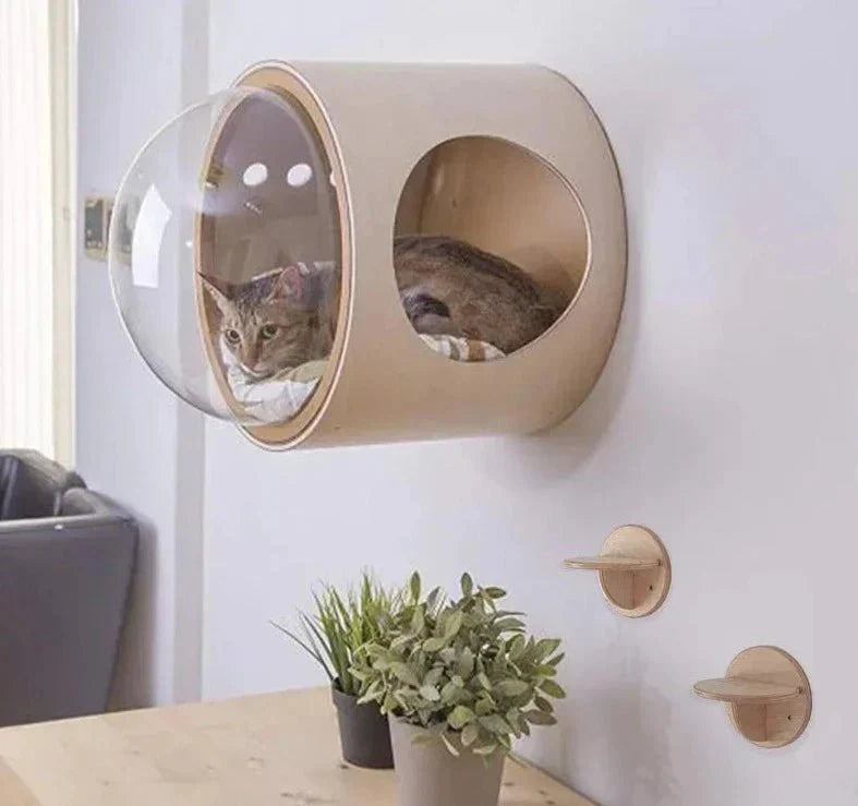 Maison Capsule Murale Design Pour Chat