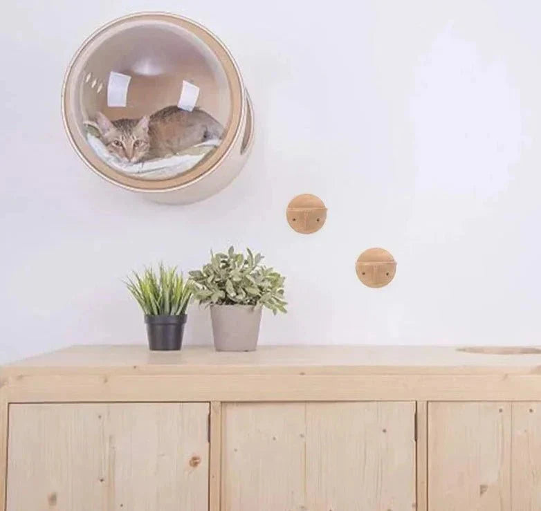 Maison design pour chat suspendue au mur avec un chat à l'intérieur et deux accroches murales en bois