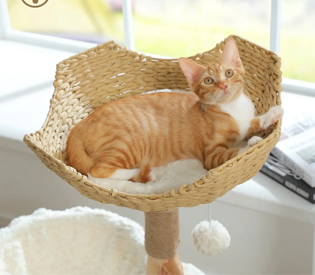 Arbre à chat en bois naturel avec panier en osier et hamac design
