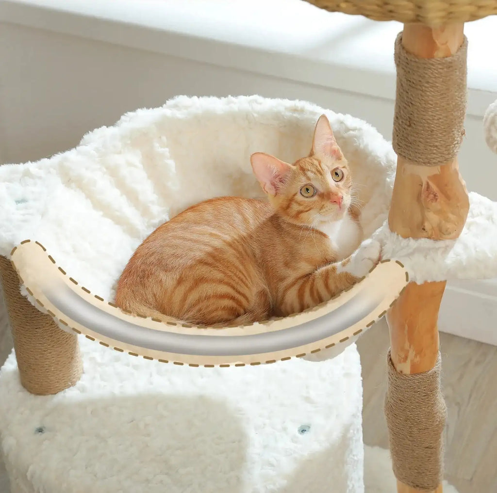 Arbre à chat en bois naturel avec panier en osier et hamac design