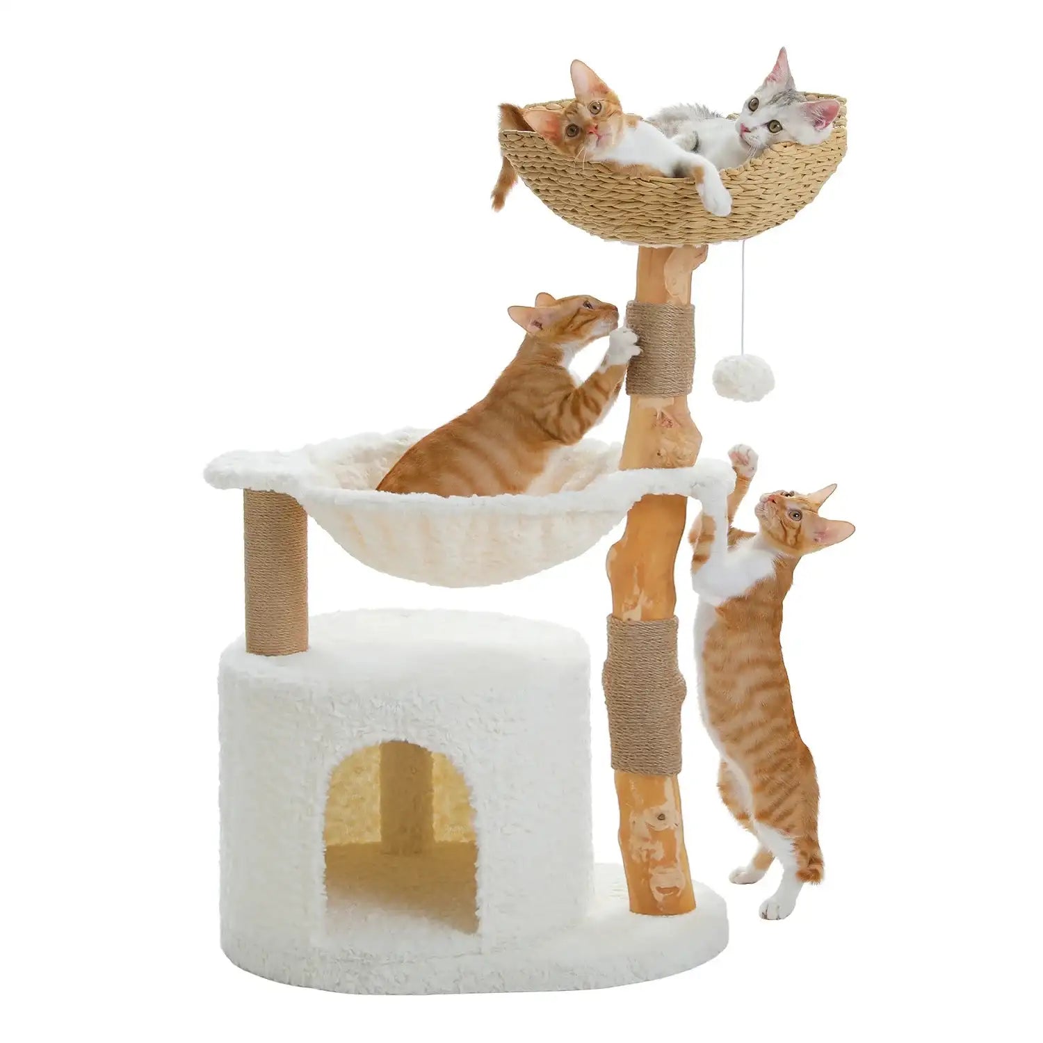 Arbre à chat en bois naturel avec panier en osier et hamac design