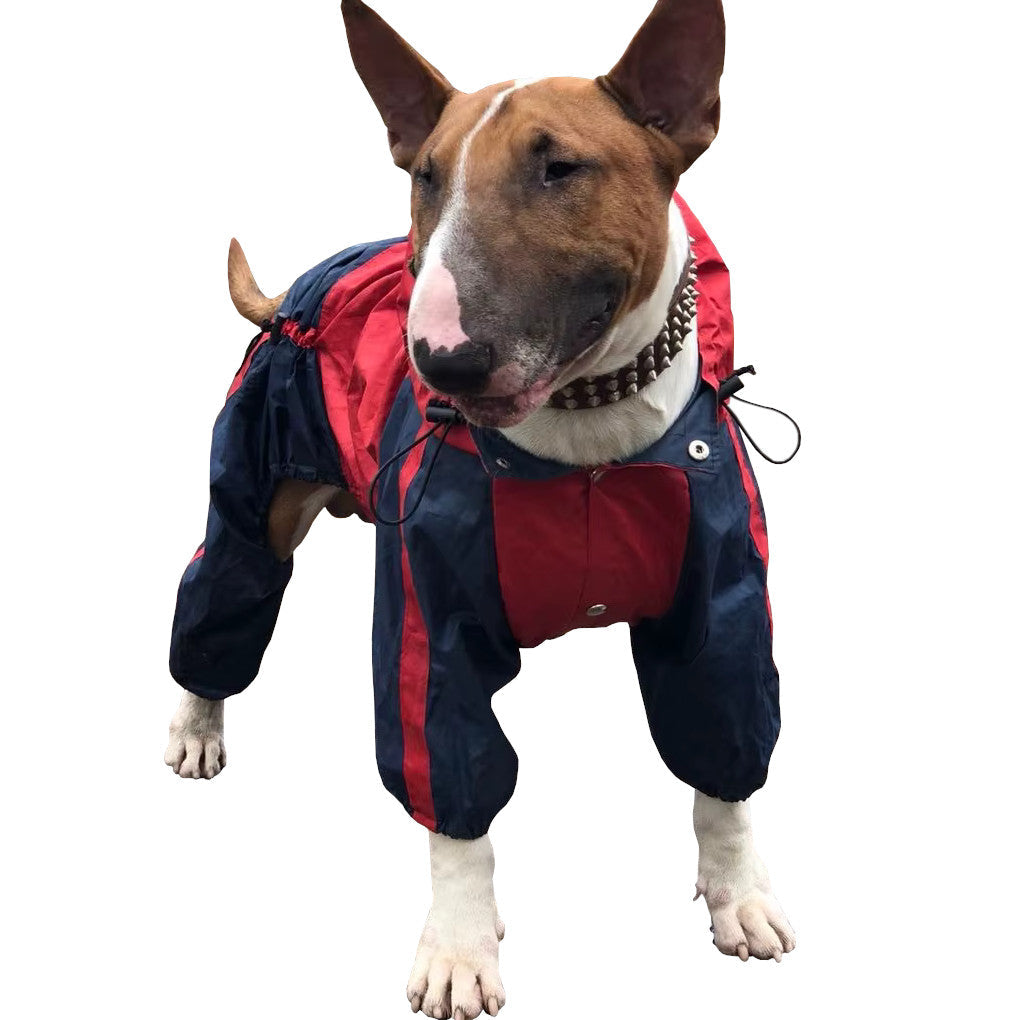Manteau Chien Bull Terrier