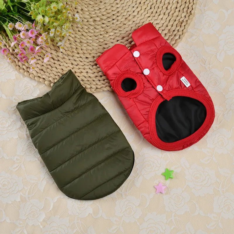 Manteau Caniche & Petit chien