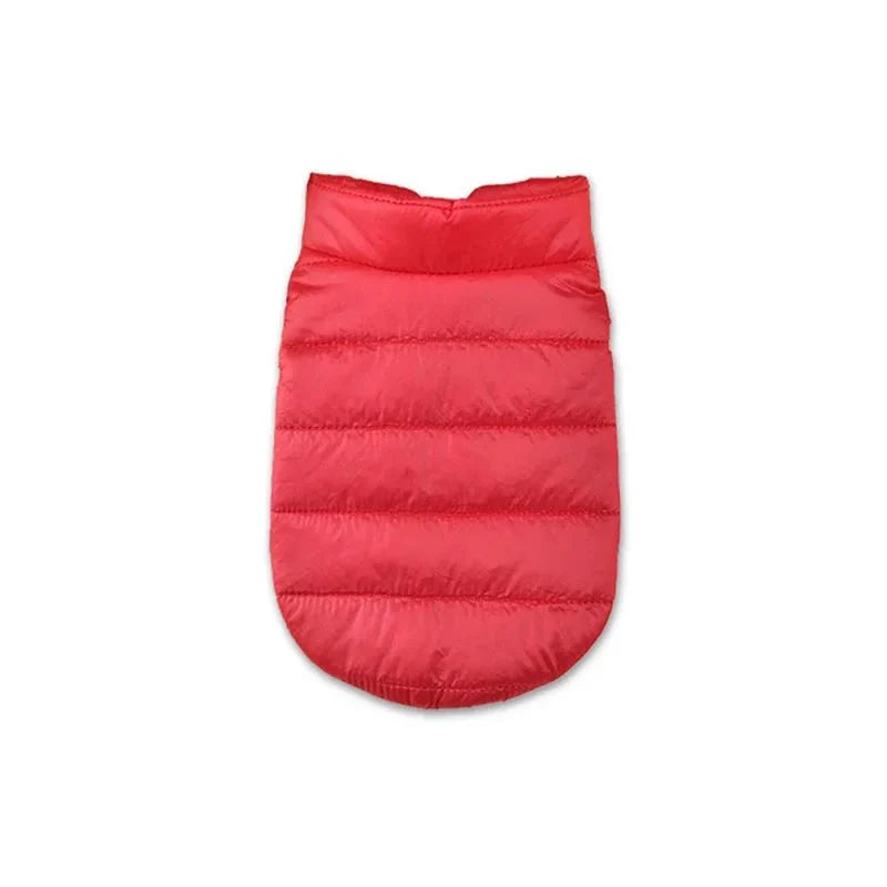 Manteau Caniche & Petit chien