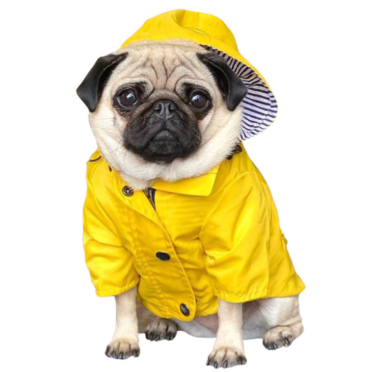 Manteau Pluie Carlin et Petit Chien