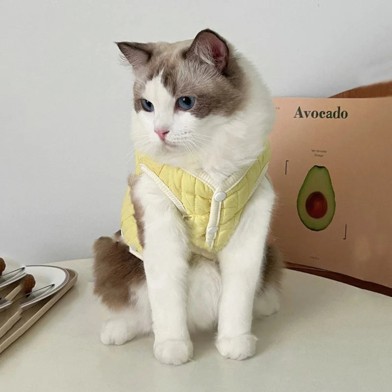 Manteau Chat et Chiot