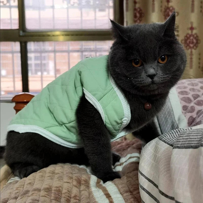 Manteau Chat et Chiot Carreaux