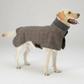 Chien Labrador portant un manteau chaud pour chien gris à carreaux signé Oscar et Plume
