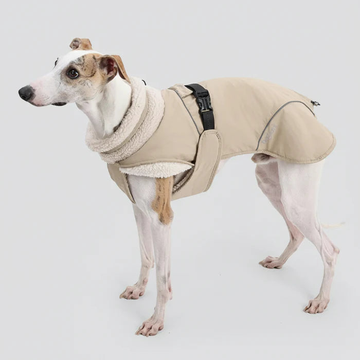 Manteau Chaud Pour Chien Whippet Et Lévrier
