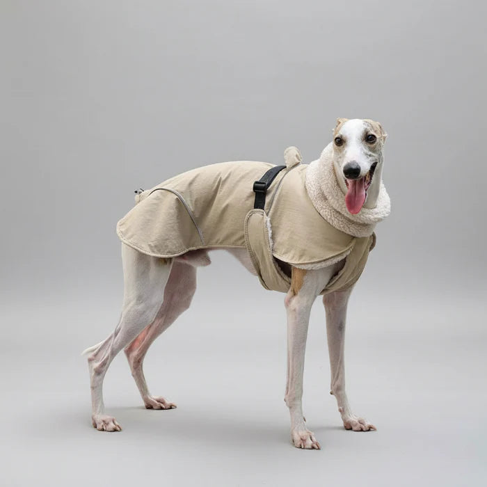 Manteau Chaud Pour Chien Whippet Et Lévrier