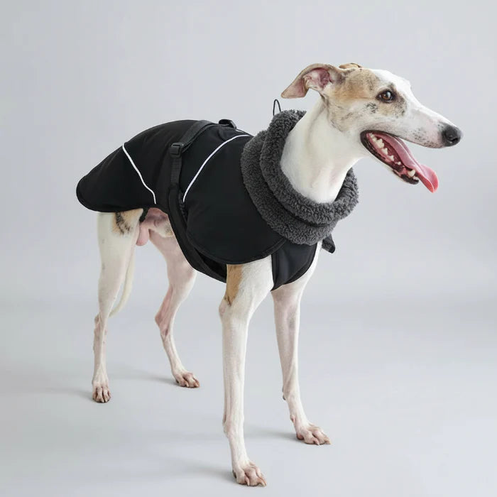 Manteau Chaud Pour Chien Whippet Et Lévrier