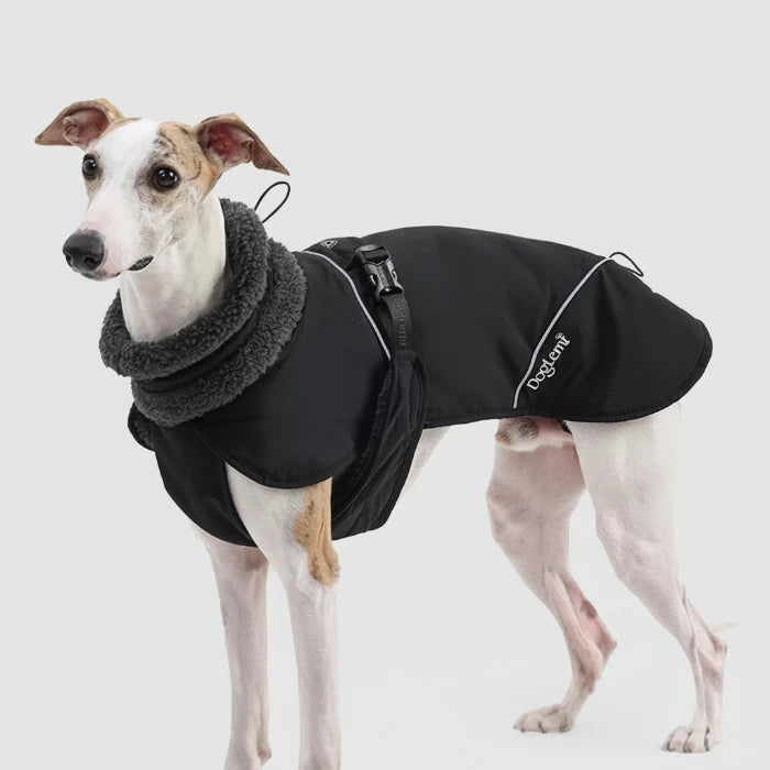 Manteau Chaud Pour Chien Whippet Et Lévrier