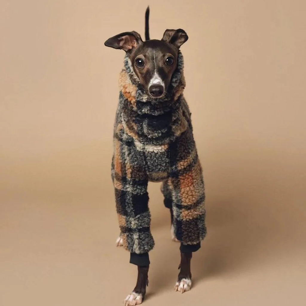 Manteau Chaud Pour Whippet Et Lévrier - Les Bonnes Affaires