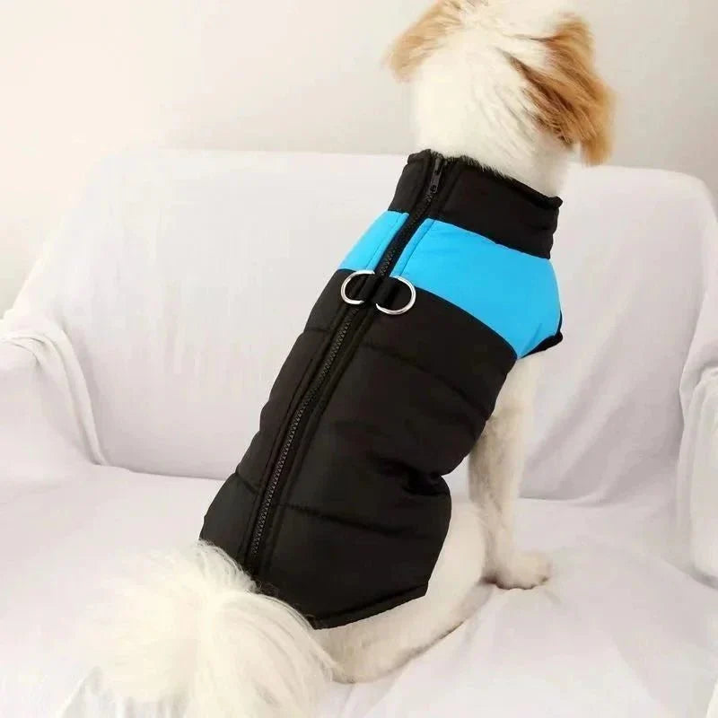 Manteau Chien avec Harnais