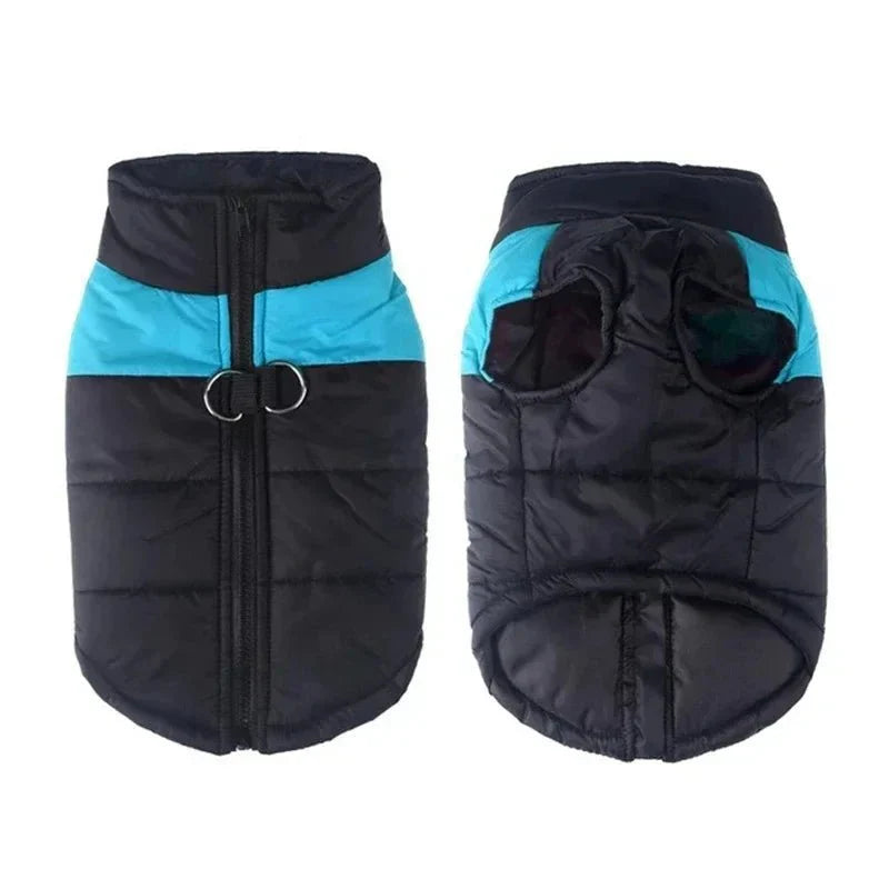 Manteau Chien avec Harnais
