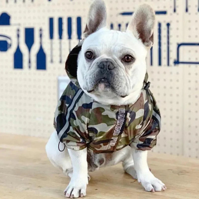 Manteau Chien Camouflage Militaire