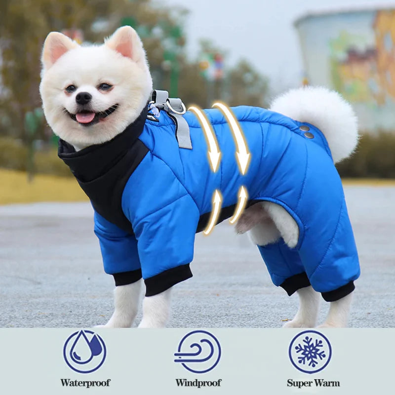 Manteau Chien Chaud