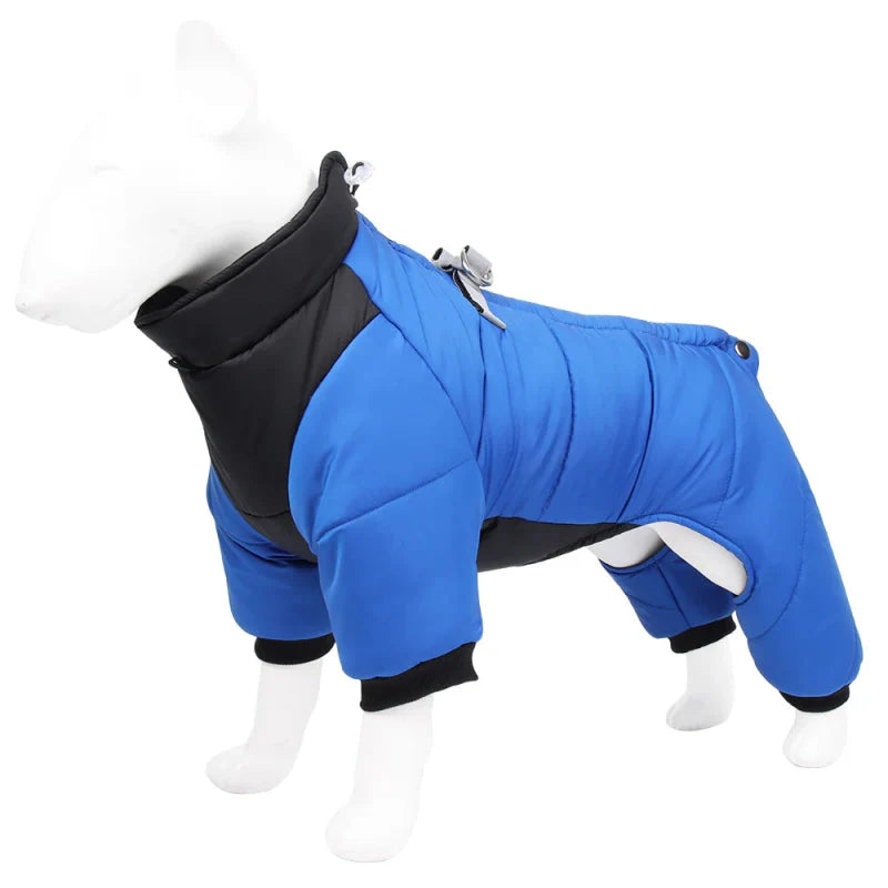 Manteau Chien Chaud