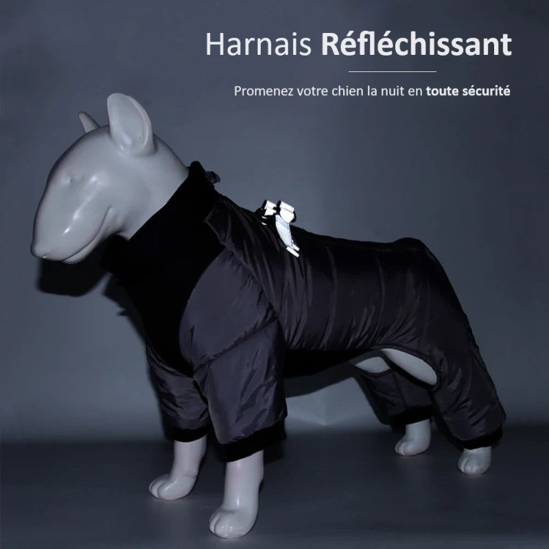 Manteau Chien Chaud