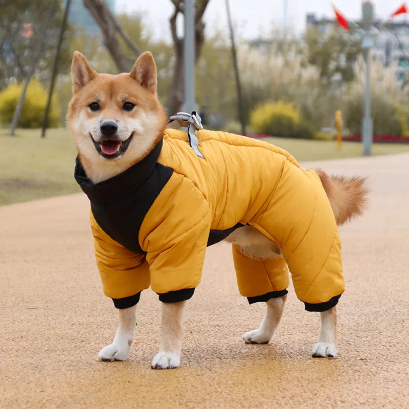 Manteau Chien Chaud