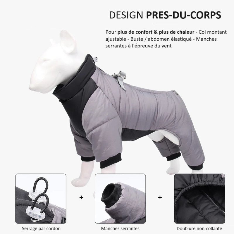 Manteau Chien Chaud