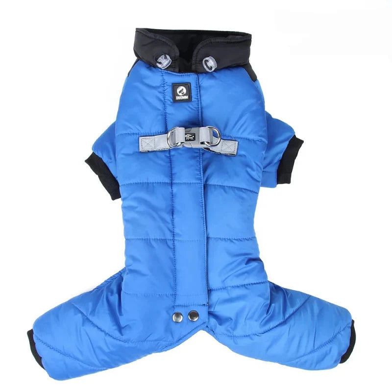 Manteau Chien Chaud